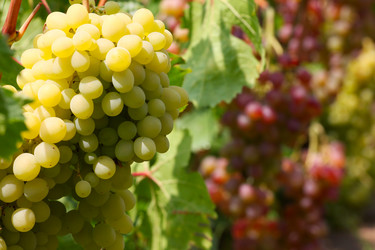 Similar image 2979050