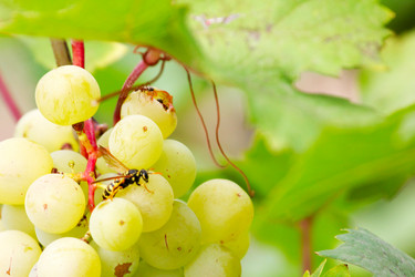 Similar image 2979060