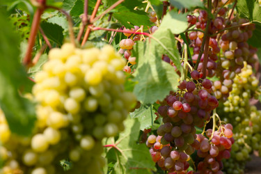 Similar image 2979063