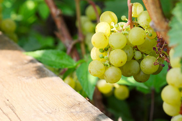 Similar image 2979066