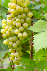 Similar image 2979067