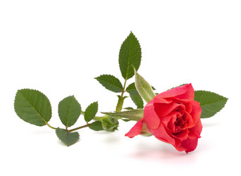 Similar image 2979075