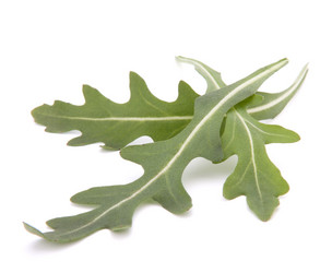 Similar image 2979088