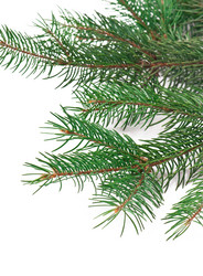 Similar image 2979162