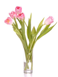 Similar image 2979262