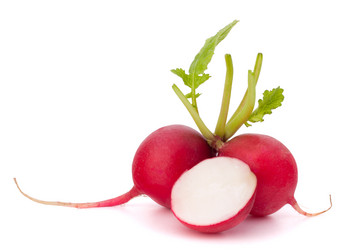 Similar image 2979280