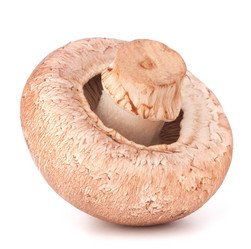 Similar image 2979290