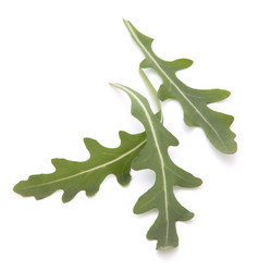 Similar image 2979381