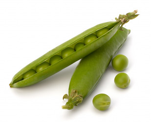 Similar image 2979399