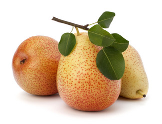 Similar image 2979403