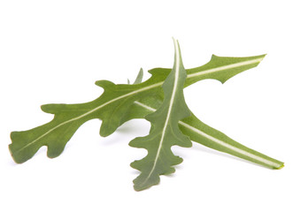 Similar image 2979437