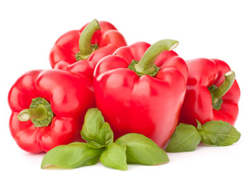 Similar image 2979451