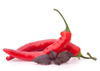 Similar image 2979466