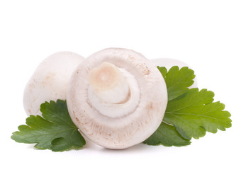 Similar image 2979472