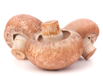 Similar image 2979483