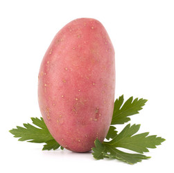 Similar image 2979485