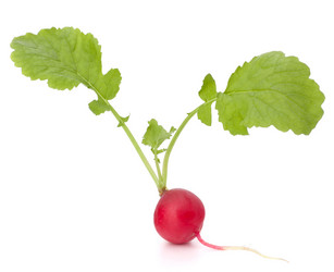 Similar image 2979493