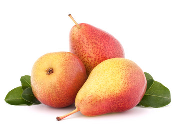 Similar image 2979501