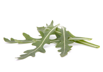 Similar image 2979546