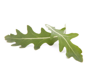 Similar image 2979551