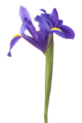 Similar image 2979602