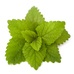 Similar image 2979613