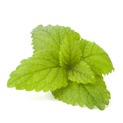 Similar image 2979616