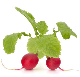 Similar image 2979618