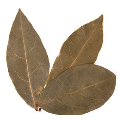 Similar image 2979663