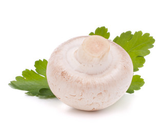 Similar image 2979689