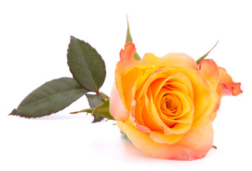 Similar image 2979722