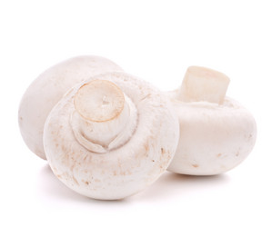 Similar image 2979738