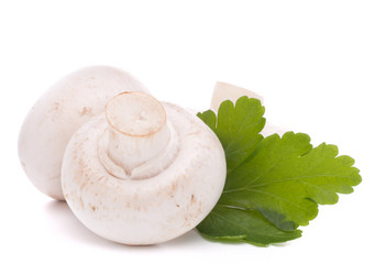 Similar image 2979752