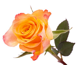 Similar image 2979766