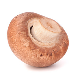 Similar image 2979768