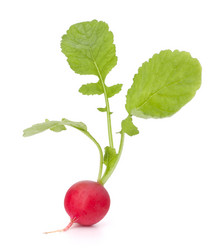 Similar image 2979773