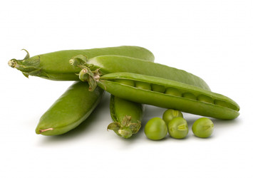 Similar image 2979788