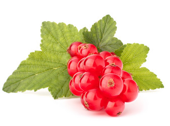 Similar image 2979797