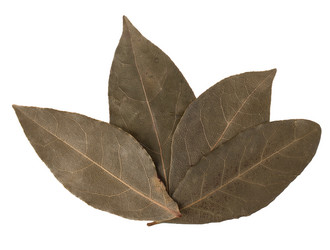 Similar image 2979803