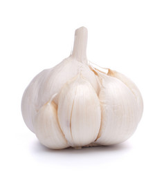 Similar image 2979809