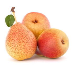 Similar image 2979810