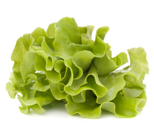 Similar image 2979813