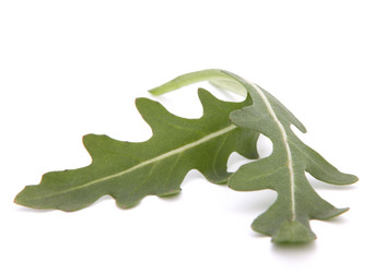 Similar image 2979855