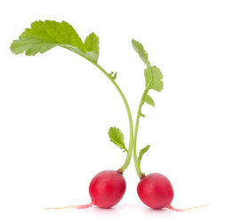 Similar image 2979862