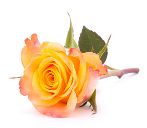 Similar image 2979878