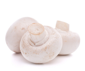 Similar image 2979914