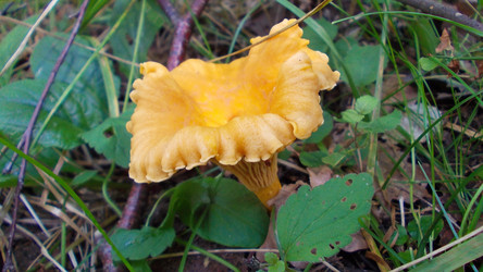 Similar image 2979939