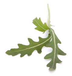 Similar image 2979958