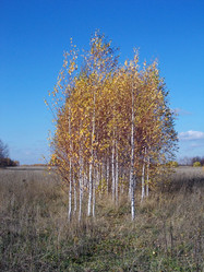 Similar image 2979973