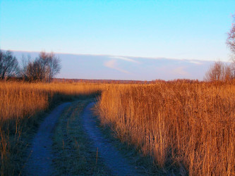 Similar image 2979974